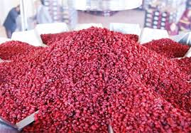 قیمت زرشک درشت